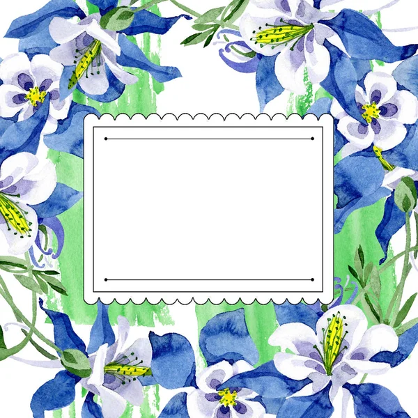 Mavi aquilegia botanik çiçek. Suluboya arka plan illüstrasyon küme. Çerçeve kenarlığı süsleme Meydanı. — Stok fotoğraf