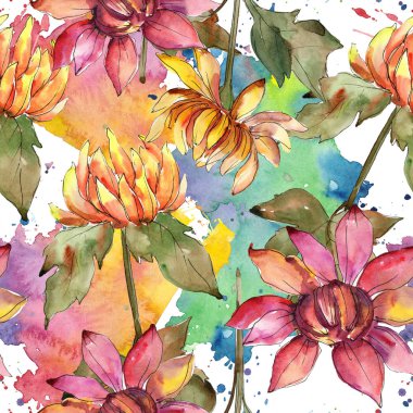 Turuncu ve kırmızı Aster botanik çiçek. Suluboya arka plan illüstrasyon küme. Sorunsuz arka plan deseni.