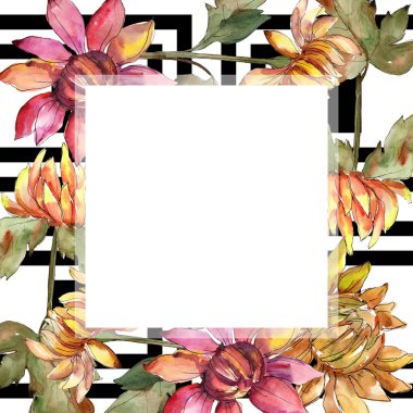 Aster turuncu ve kırmızı. Botanik çiçek. Suluboya arka plan illüstrasyon küme. Çerçeve kenarlığı süsleme Meydanı.