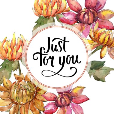 Aster turuncu ve kırmızı. Botanik çiçek. Suluboya arka plan illüstrasyon küme. Çerçeve kenarlığı süsleme Meydanı.