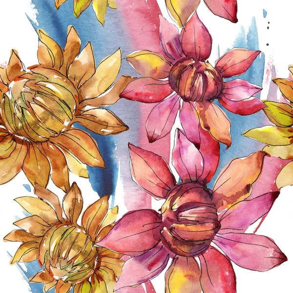 Laranja e vermelho astros flor botânica. Conjunto de ilustração de fundo aquarela. Padrão de fundo sem costura . — Fotografia de Stock