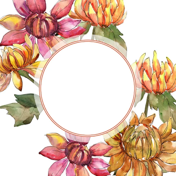 주황색과 빨간색과 꽃입니다. 꽃 식물 꽃입니다. 수채화 배경 그림 설정 합니다. 프레임 테두리 장식 스퀘어. — 스톡 사진