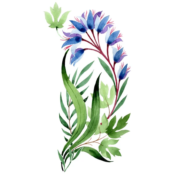 Flores botânicas florais azuis. Conjunto de ilustração de fundo aquarela. Isolado elemento de ilustração ornamento . — Fotografia de Stock