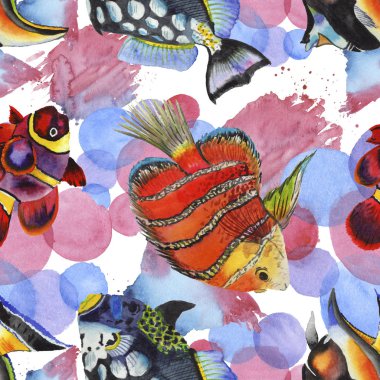 Sulu boya su sualtı renkli tropikal balık resimde kümesi. Sorunsuz arka plan deseni.