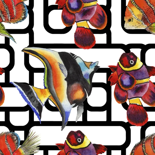 Acuarela acuática bajo el agua colorido conjunto de ilustración de peces tropicales. Patrón de fondo sin costuras . —  Fotos de Stock
