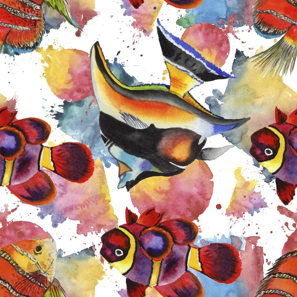 Aquarelle aquatique sous-marin coloré poissons tropicaux illustration ensemble. Modèle de fond sans couture . — Photo