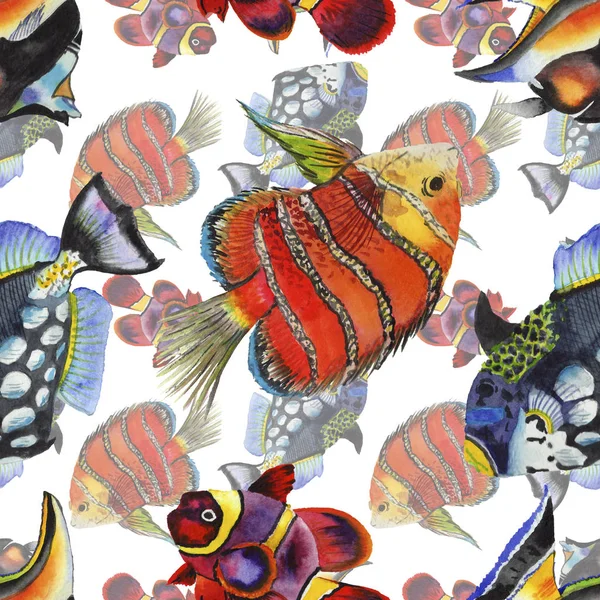 Aquarelle aquatique sous-marin coloré poissons tropicaux illustration ensemble. Modèle de fond sans couture . — Photo