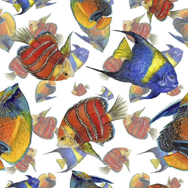 Watercolor aquatic underwater colorful tropical fish illustration set. Seamless background pattern. — Stock Photo, Image