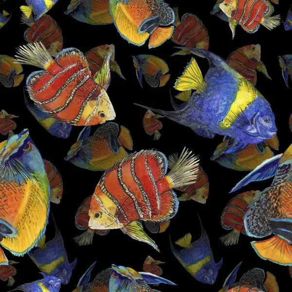 Aquarel aquatische onderwater kleurrijke tropische vissen illustratie set. Naadloze achtergrondpatroon. — Stockfoto