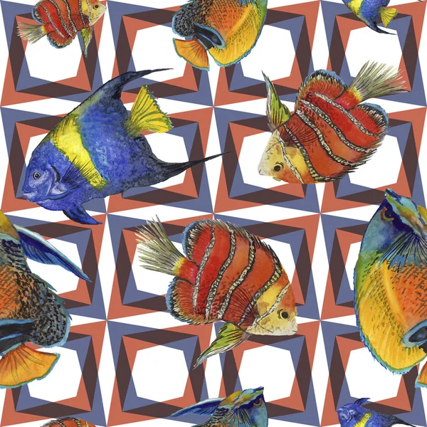 Acuarela acuática bajo el agua colorido conjunto de ilustración de peces tropicales. Patrón de fondo sin costuras . —  Fotos de Stock
