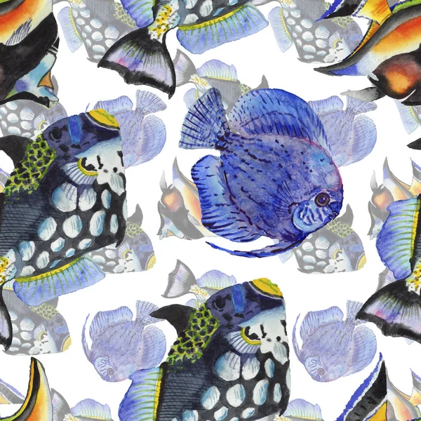 Akvarell Vattenlevande Undervattens Färgglada Tropiska Fiskar Set Akvarell Illustration Set — Stockfoto