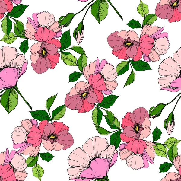 Vector kwiat różowy rosa canina. Grawerowane atrament sztuki. Bezszwowe tło wzór. Tkanina tapeta tekstura wydruku. — Wektor stockowy
