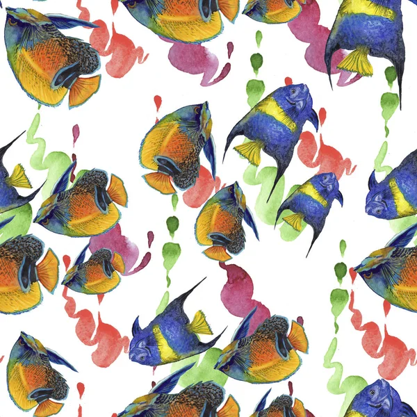 Acuarela acuática bajo el agua colorido conjunto de ilustración de peces tropicales. Patrón de fondo sin costuras . — Foto de Stock
