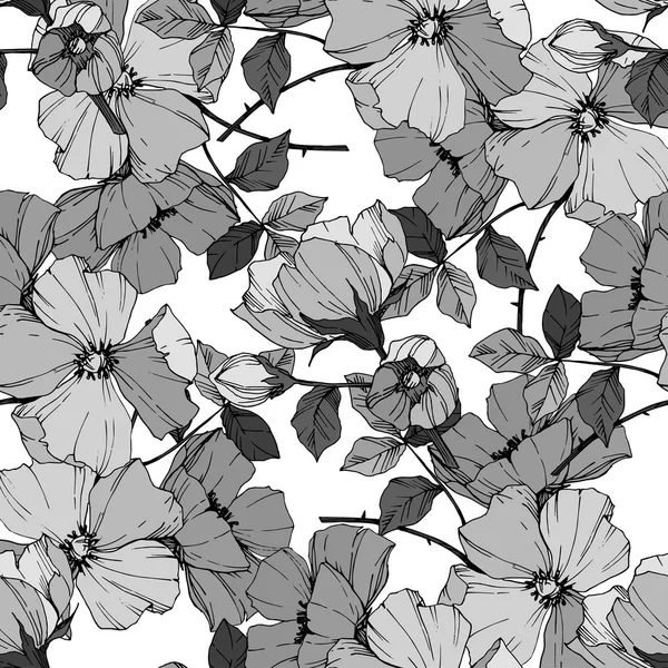 Vector Rosa flor de canina. Arte de tinta grabada. Patrón de fondo sin costuras. Textura de impresión de papel pintado de tela . — Vector de stock
