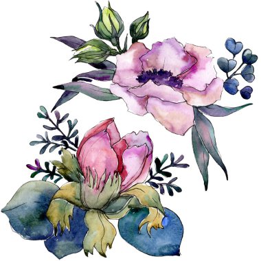Botanik pembe çiçek buketi. Suluboya arka plan illüstrasyon küme. İzole buket illüstrasyon öğesi.