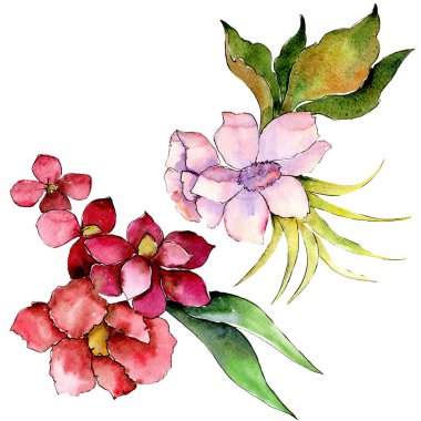 Kırmızı ve mor botanik çiçek buketi. Suluboya arka plan ayarlamak. İzole buketleri illüstrasyon öğesi.