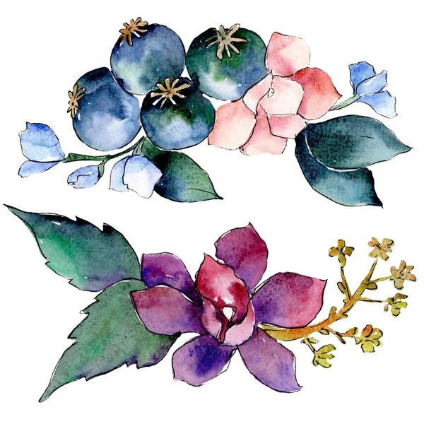 Pembe ve mor botanik çiçek buketi. Suluboya arka plan ayarlamak. İzole buketleri illüstrasyon öğesi.