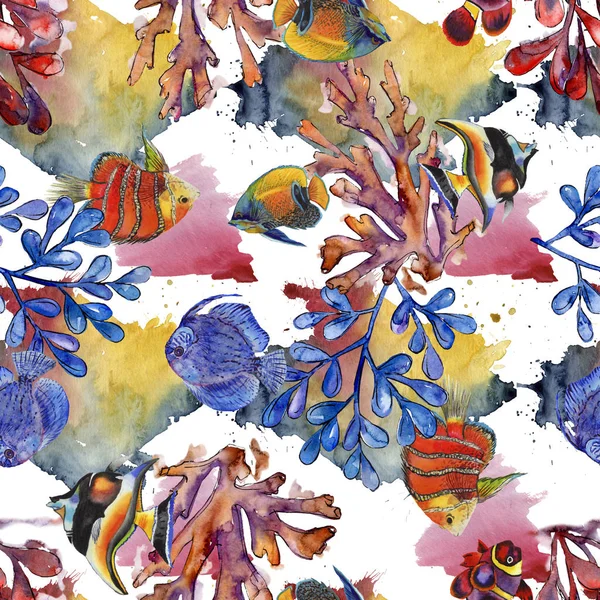 水彩水生水下五颜六色的热带鱼插画集。无缝的背景模式. — 图库照片