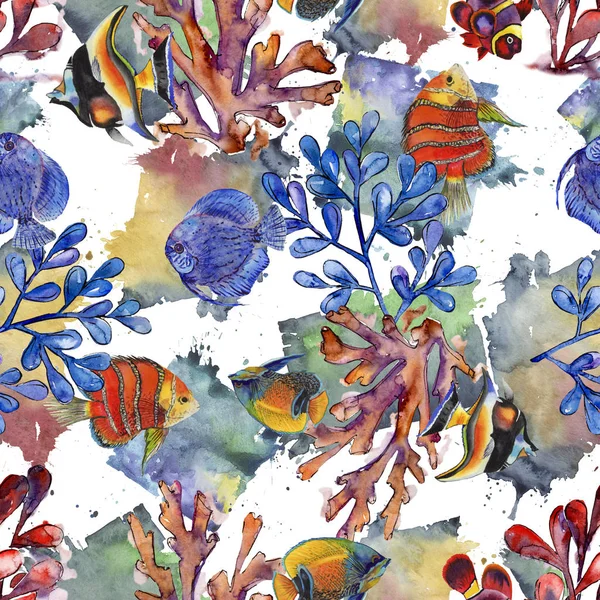 Akvarell vízi víz alatti színes trópusi hal illusztrációja készlet. Varratmentes háttérben minta. — Stock Fotó