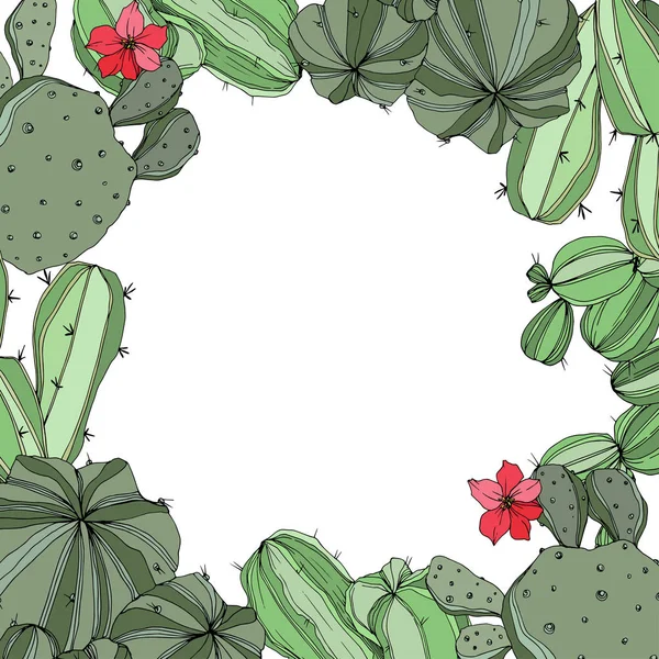Vector Green cactus flores botánicas florales. Arte de tinta grabada. Marco borde ornamento cuadrado . — Vector de stock