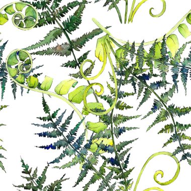 Fern yeşil yaprak. Suluboya arka plan illüstrasyon küme. Sorunsuz arka plan deseni.
