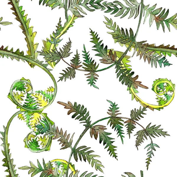 Fern green leaf. Akvarell bakgrund illustration set. Sömlös bakgrundsmönster. — Stockfoto