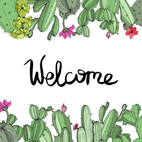 Vettore Verde cactus floreale fiore botanico. Incisione a inchiostro art. Quadrato ornamento bordo cornice . — Vettoriale Stock