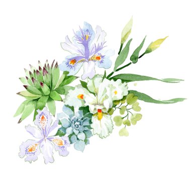 Mor ve beyaz Iris Çiçek Botanik çiçekler. Vahşi bahar yaprak izole kır çiçeği. Suluboya arka plan ayarlamak. Suluboya çizim moda aquarelle. İzole buket illüstrasyon öğesi.