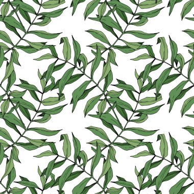 Vektör yaprak yeşil bitki bahçe çiçek bitki örtüsü. Oyulmuş mürekkep sanat. Palm beach ağaç yaprak. Sorunsuz arka plan deseni.