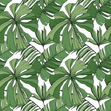 Vektör yaprak yeşil bitki bahçe çiçek bitki örtüsü. Oyulmuş mürekkep sanat. Palm beach ağaç yaprak. Sorunsuz arka plan deseni.