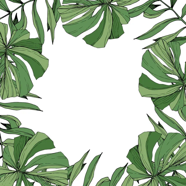 Vector Follaje botánico de hoja verde. Arte de tinta grabada. Hojas de palmera. Marco borde ornamento cuadrado . — Archivo Imágenes Vectoriales