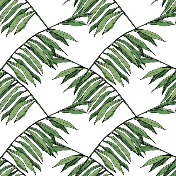 Vector hoja verde planta jardín follaje floral. Arte de tinta grabada. Hojas de palmera. Patrón de fondo sin costuras . — Vector de stock