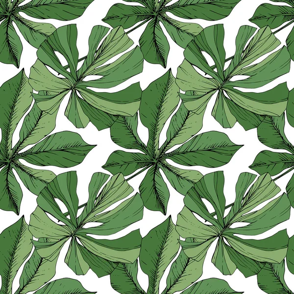 Vettore verde foglia pianta giardino fogliame floreale. Incisione a inchiostro art. Foglie di palma. Modello di sfondo senza soluzione di continuità . — Vettoriale Stock