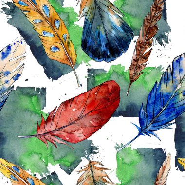 Suluboya kuş tüyü izole Wing. Sorunsuz arka plan deseni.