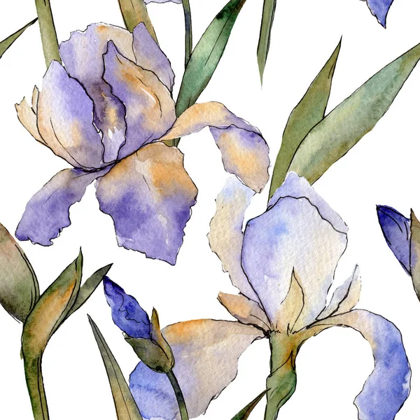 Iris púrpura flor botánica floral. Conjunto de ilustración de fondo acuarela. Patrón de fondo sin costuras . — Foto de Stock
