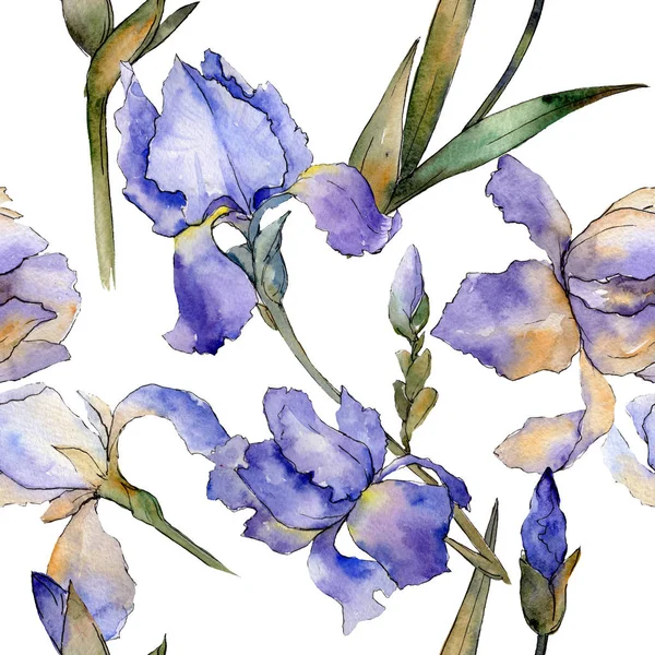 Iris violet fleur botanique florale. Ensemble d'illustration de fond aquarelle. Modèle de fond sans couture . — Photo