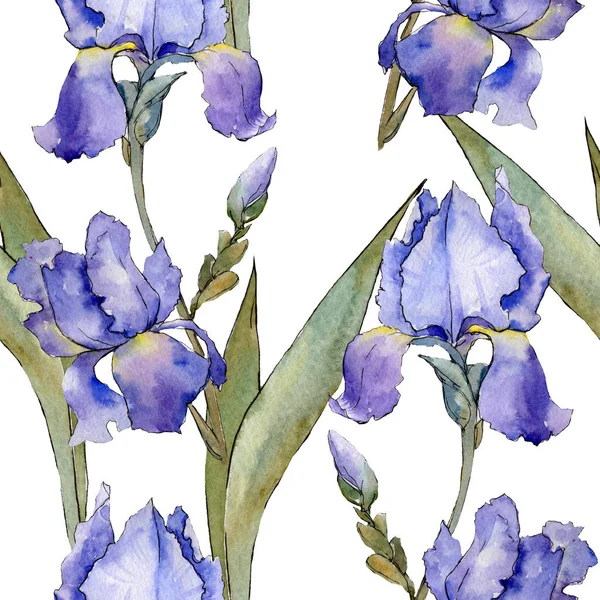 Purple iris floral botanical flower. Watercolor background illustration set. Seamless background pattern.