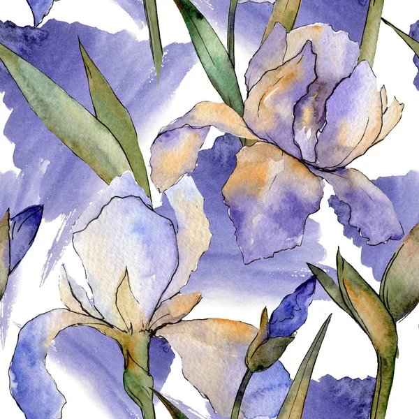 Iris viola fiore botanico floreale. Acquerello sfondo illustrazione set. Modello di sfondo senza soluzione di continuità . — Foto Stock