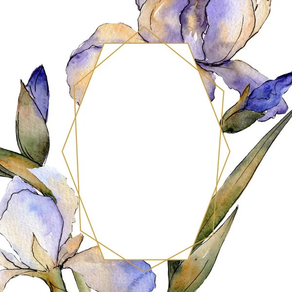 Iris púrpura flor botánica floral. Conjunto de ilustración de fondo acuarela. Marco borde ornamento cuadrado . — Foto de Stock
