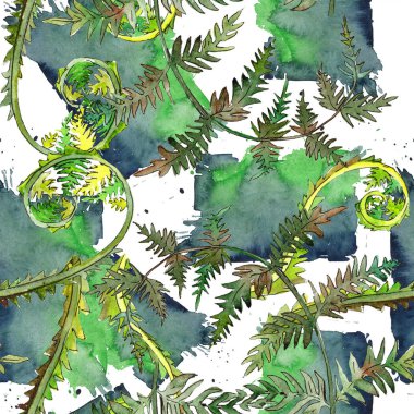 Fern yeşil yaprak. Suluboya arka plan illüstrasyon küme. Sorunsuz arka plan deseni.