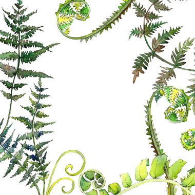 Fern yeşil yaprak. Suluboya arka plan illüstrasyon küme. Çerçeve kenarlığı süsleme Meydanı.