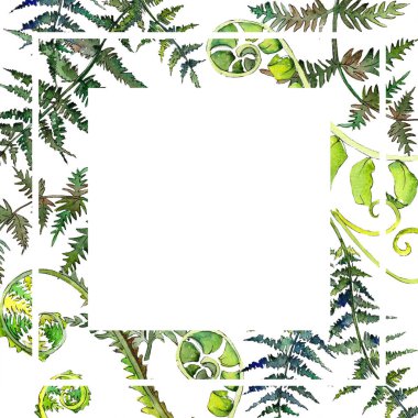 Fern yeşil yaprak. Suluboya arka plan illüstrasyon küme. Çerçeve kenarlığı süsleme Meydanı.