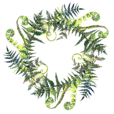 Fern yeşil yaprak. Suluboya arka plan illüstrasyon küme. Çerçeve kenarlığı süsleme Meydanı.