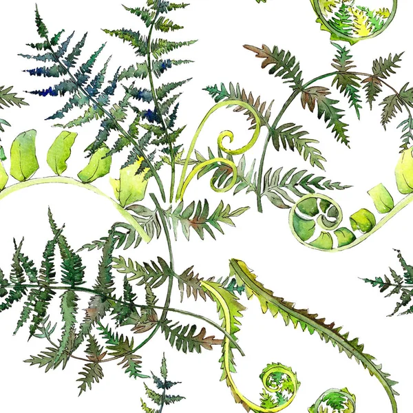 蕨类植物绿叶。水彩背景插图集。无缝的背景模式. — 图库照片