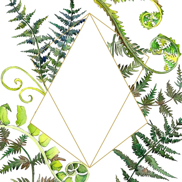 Fern groen blad. Aquarel achtergrond afbeelding instellen. Frame grens ornament vierkant. — Stockfoto