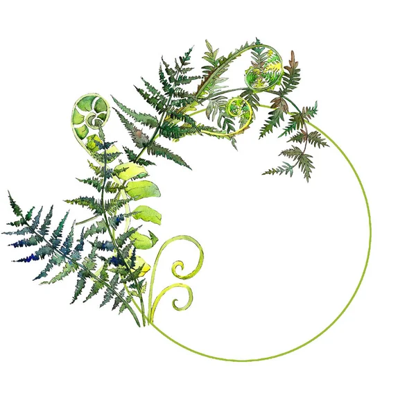 Fern yeşil yaprak. Suluboya arka plan illüstrasyon küme. Çerçeve kenarlığı süsleme Meydanı.