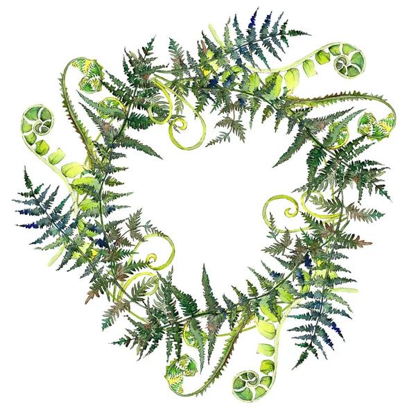 Fern yeşil yaprak. Suluboya arka plan illüstrasyon küme. Çerçeve kenarlığı süsleme Meydanı.