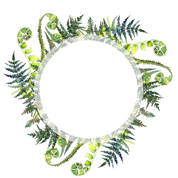 Fern yeşil yaprak. Suluboya arka plan illüstrasyon küme. Çerçeve kenarlığı süsleme Meydanı.