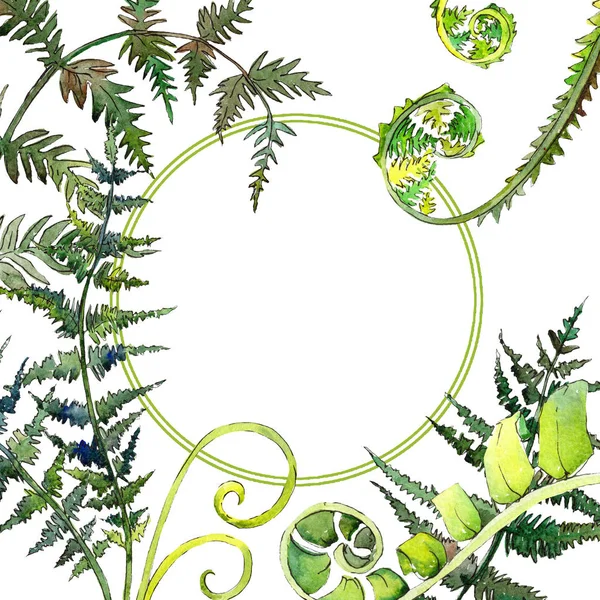 Folha verde de samambaia. Conjunto de ilustração de fundo aquarela. Quadro borda ornamento quadrado . — Fotografia de Stock