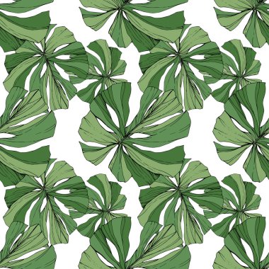 Vektör yaprak yeşil bitki bahçe çiçek bitki örtüsü. Oyulmuş mürekkep sanat. Palm beach ağaç yaprak. Sorunsuz arka plan deseni.
